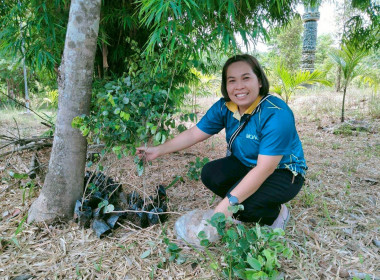 สหกรณ์จังหวัดบึงกาฬ พร้อมด้วยสหกรณ์การเกษตรเมืองบึงกาฬ ... พารามิเตอร์รูปภาพ 7